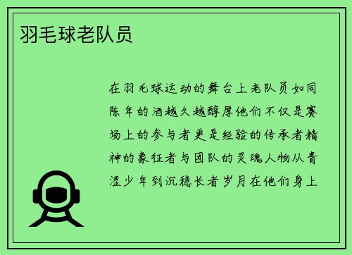 羽毛球老队员